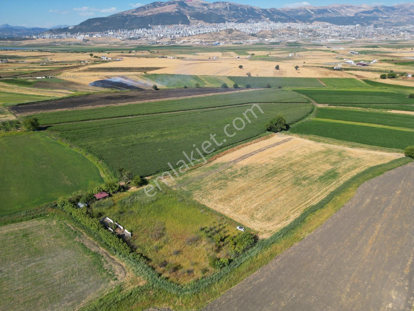 Coldwell Bankerden Yeşilyurtta Satılık Tarla (5562m²) - Görsel 6