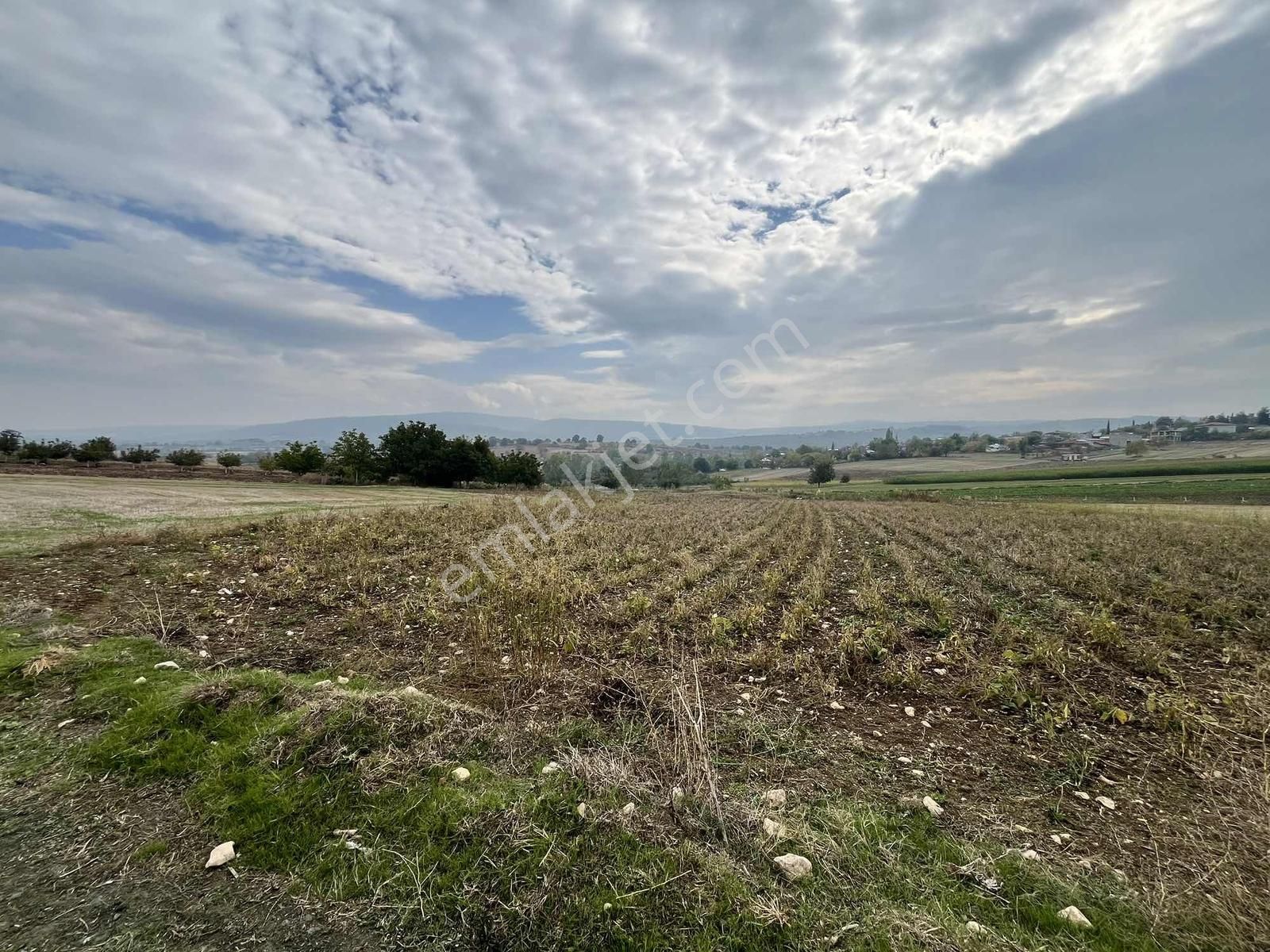 Yenişehir Karaamcada Yol Cepheli 2.821 M² Düz Arazi - Görsel 23