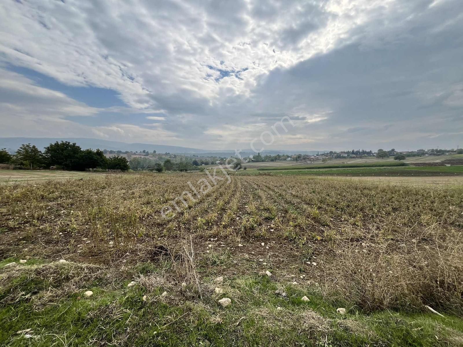 Yenişehir Karaamcada Yol Cepheli 2.821 M² Düz Arazi - Görsel 25