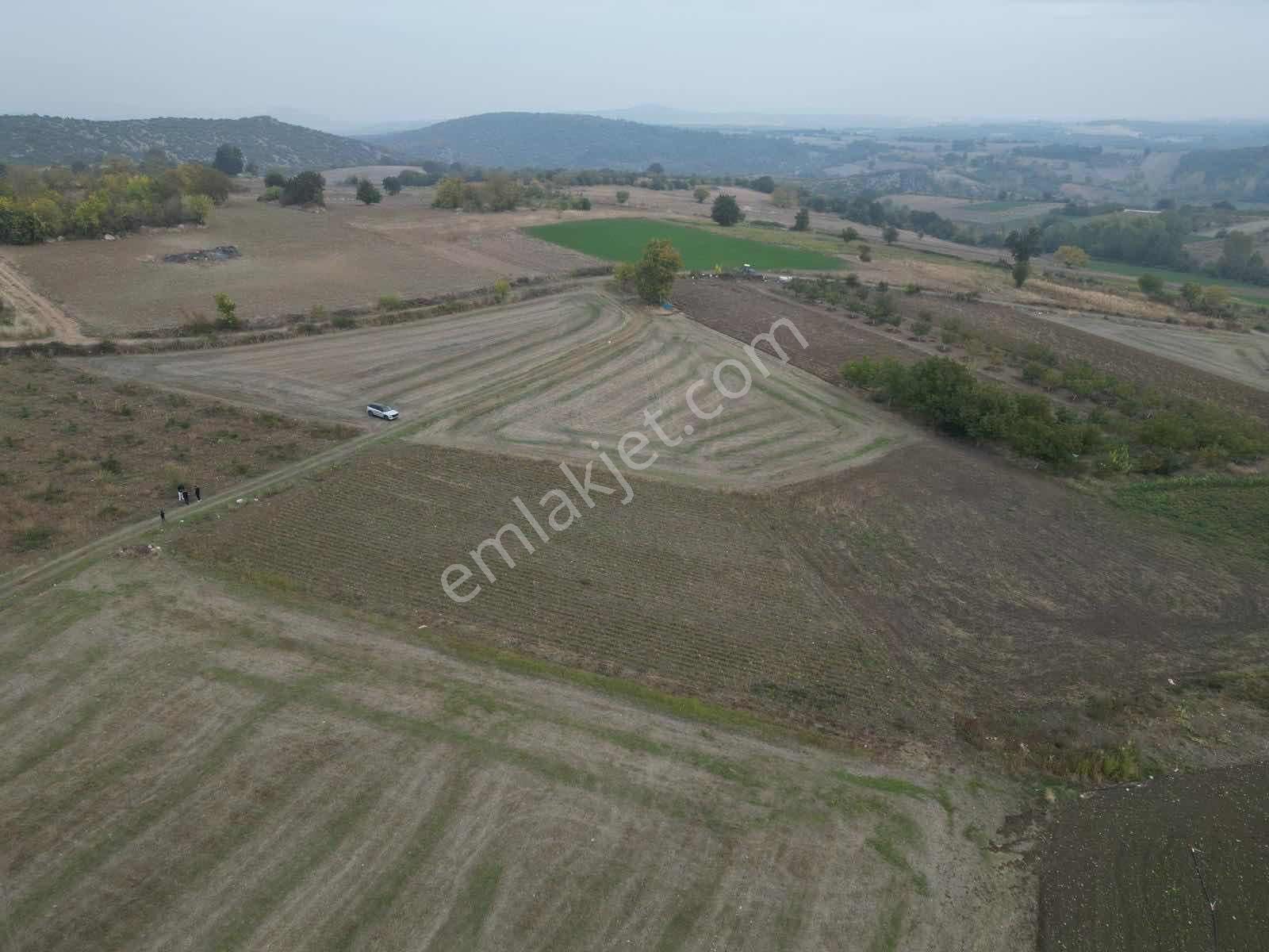 Yenişehir Karaamcada Yol Cepheli 2.821 M² Düz Arazi - Görsel 12