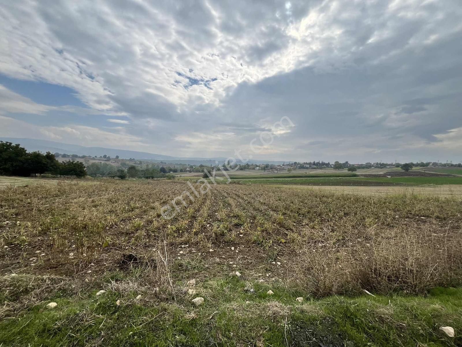 Yenişehir Karaamcada Yol Cepheli 2.821 M² Düz Arazi - Görsel 20