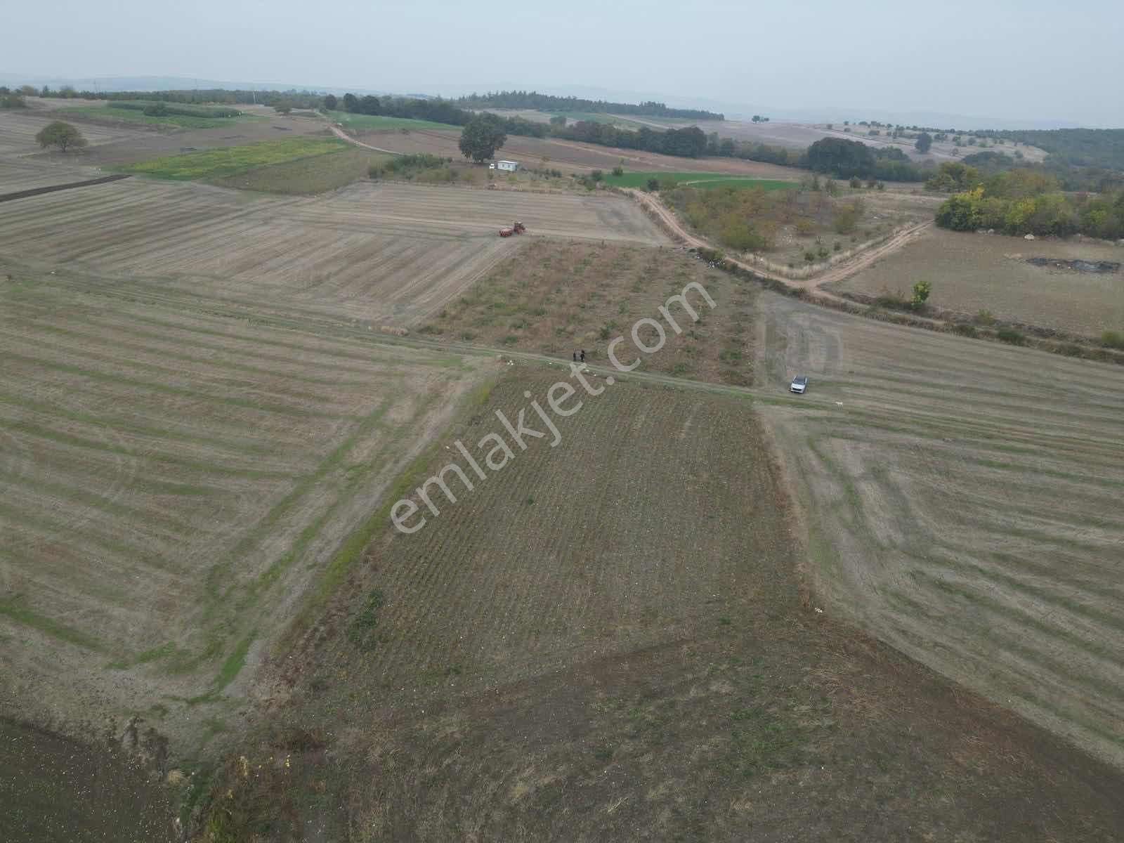 Yenişehir Karaamcada Yol Cepheli 2.821 M² Düz Arazi - Görsel 13