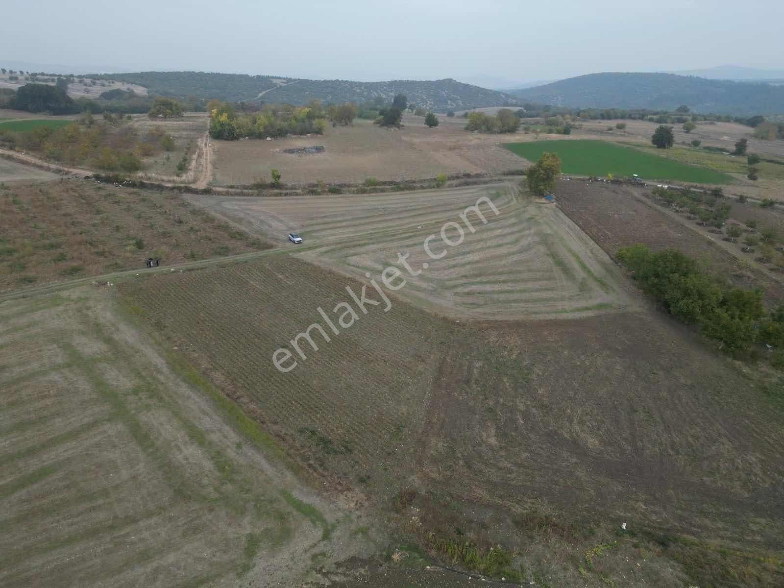 Yenişehir Karaamcada Yol Cepheli 2.821 M² Düz Arazi - Görsel 14