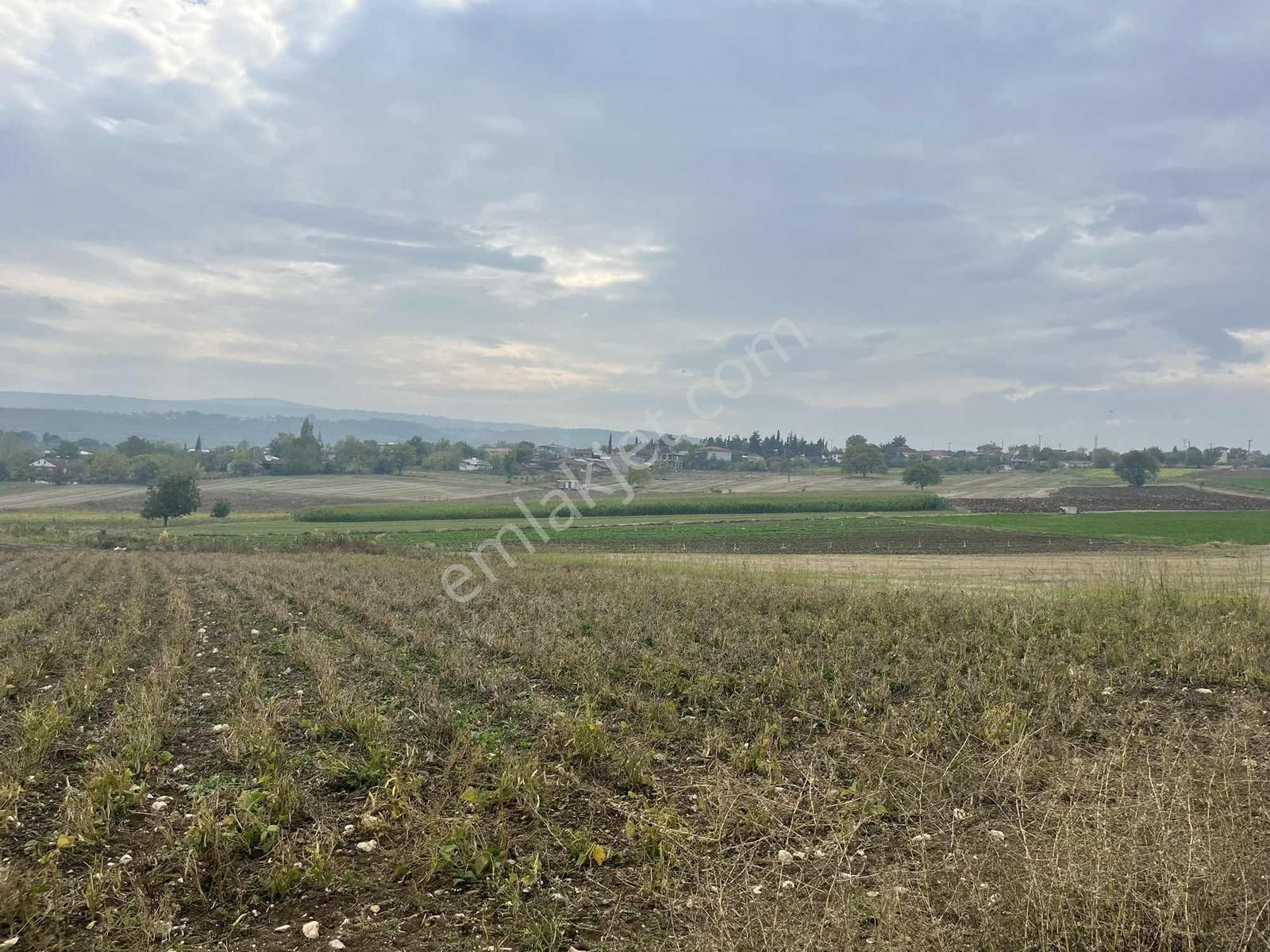 Yenişehir Karaamcada Yol Cepheli 2.821 M² Düz Arazi - Görsel 19