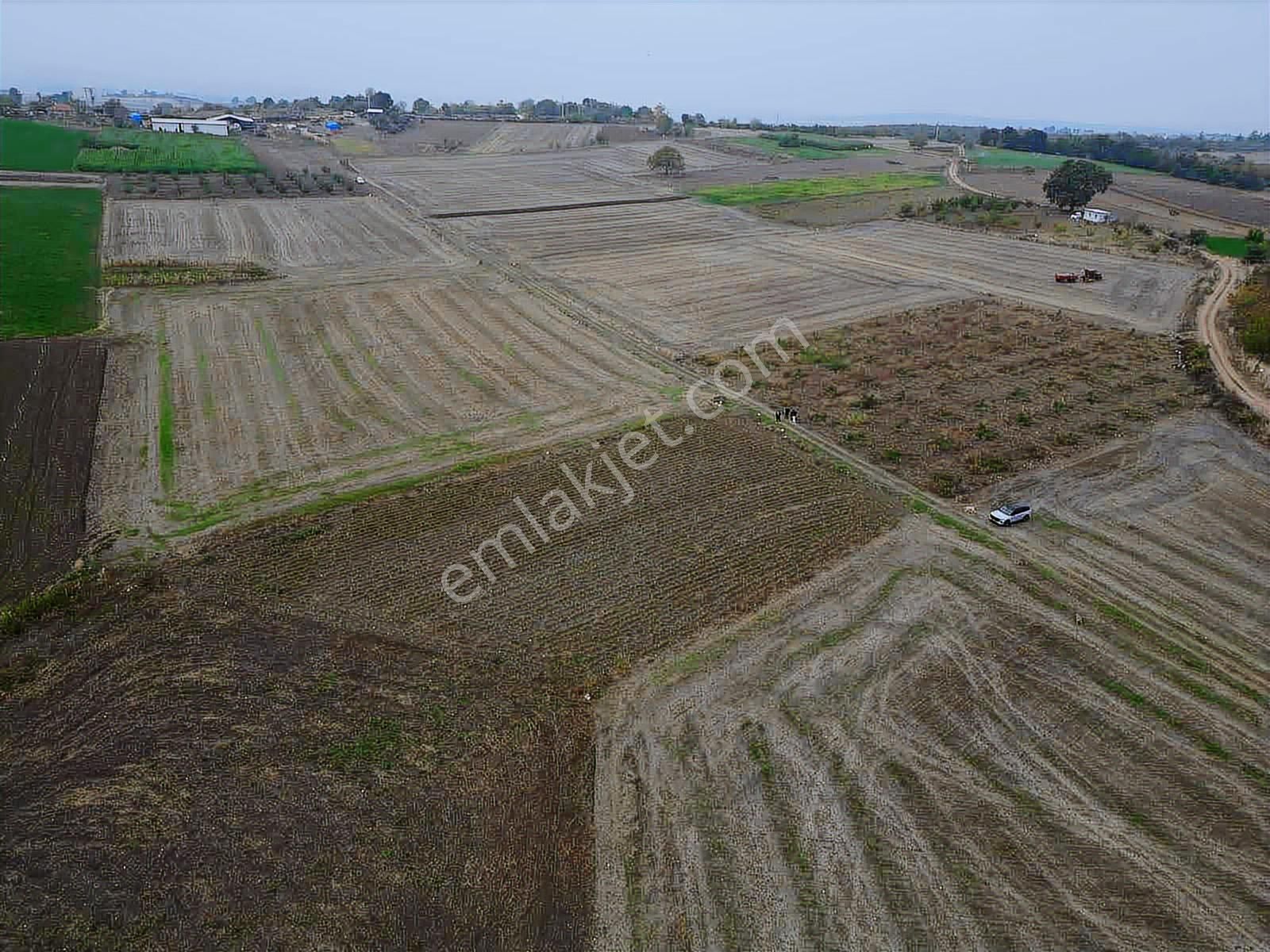 Yenişehir Karaamcada Yol Cepheli 2.821 M² Düz Arazi - Görsel 15