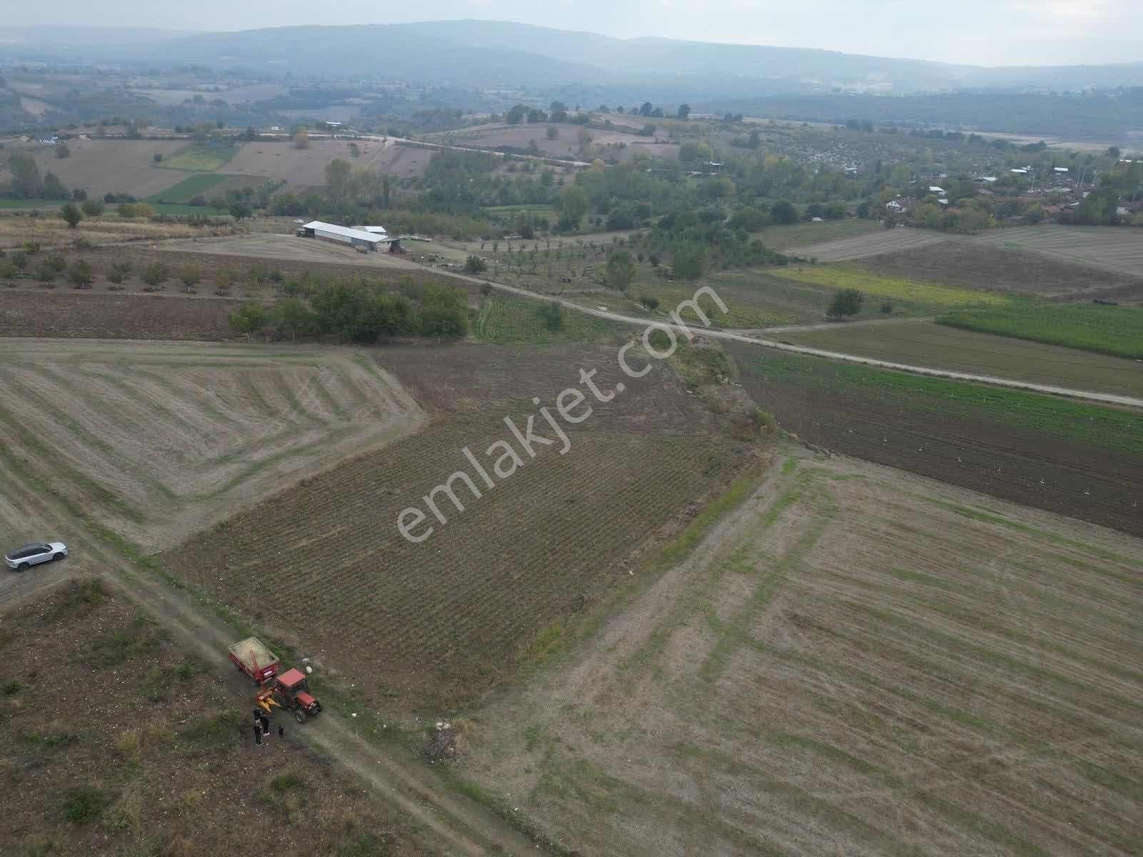 Yenişehir Karaamcada Yol Cepheli 2.821 M² Düz Arazi - Görsel 16