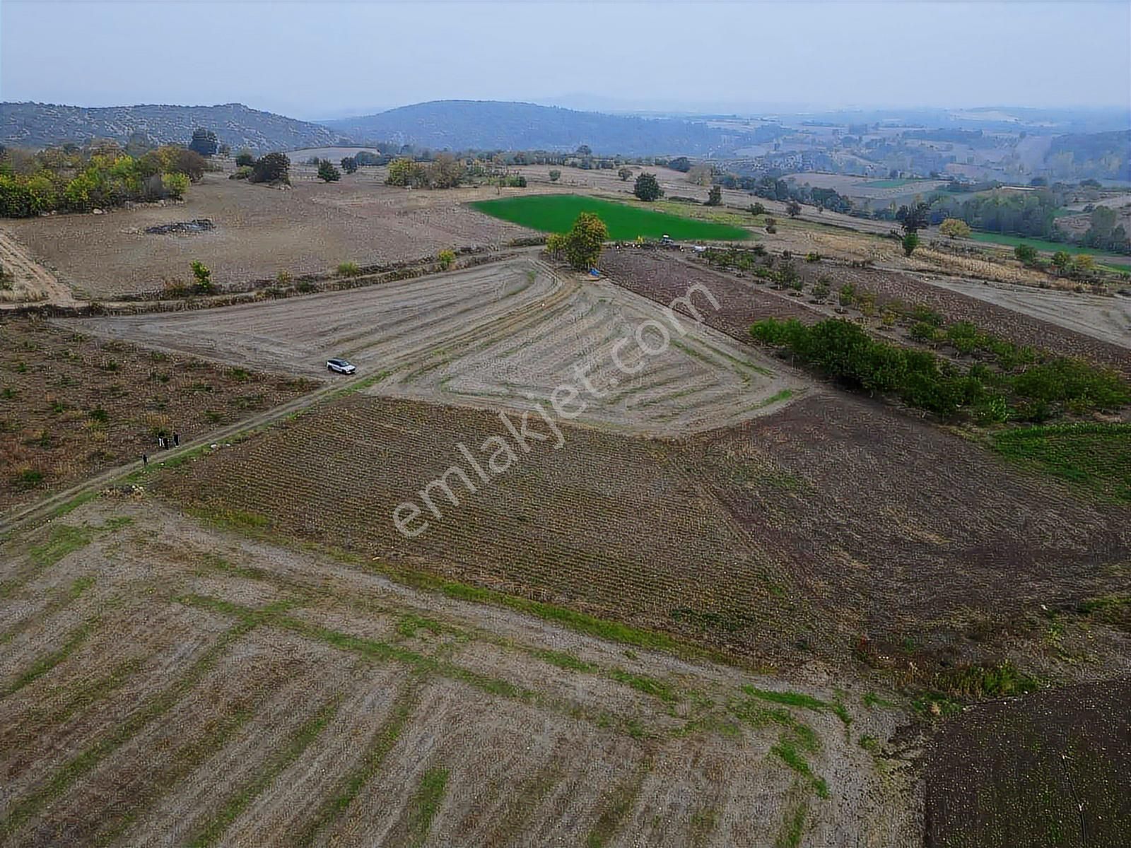 Yenişehir Karaamcada Yol Cepheli 2.821 M² Düz Arazi - Görsel 3