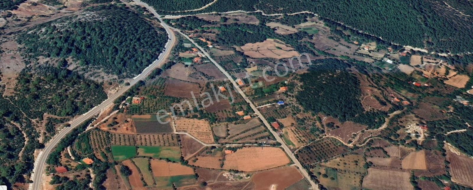 Goldhouse Dan Satılık Tarla Nif De Köyiçi 2103m2 - Görsel 3