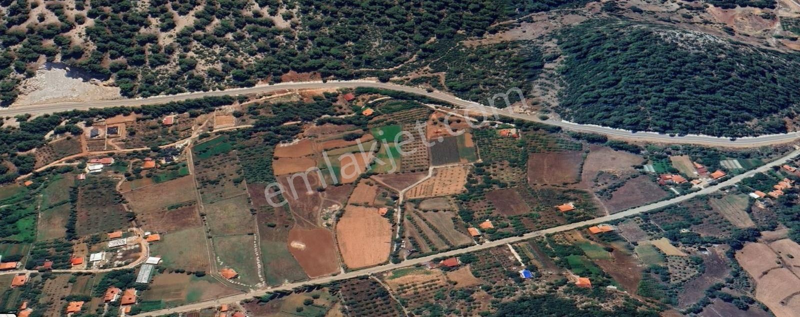 Goldhouse Dan Satılık Tarla Nif De Köyiçi 2103m2 - Görsel 4