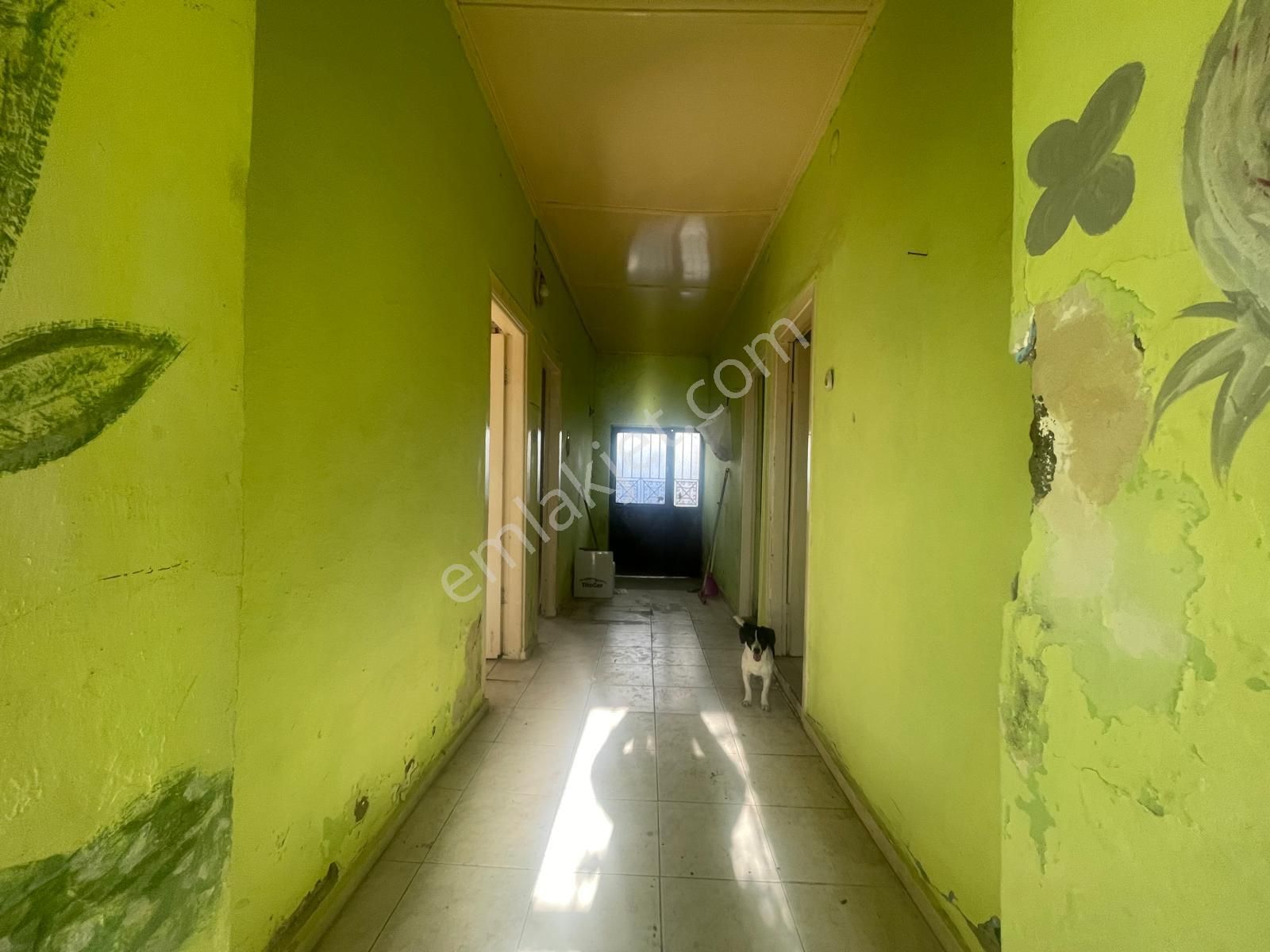 Ayvalık Merkez'de Geniş Bahçeli 2 Kata Musadeli Tek Katlı 2+1 Kagir Evi - Görsel 6