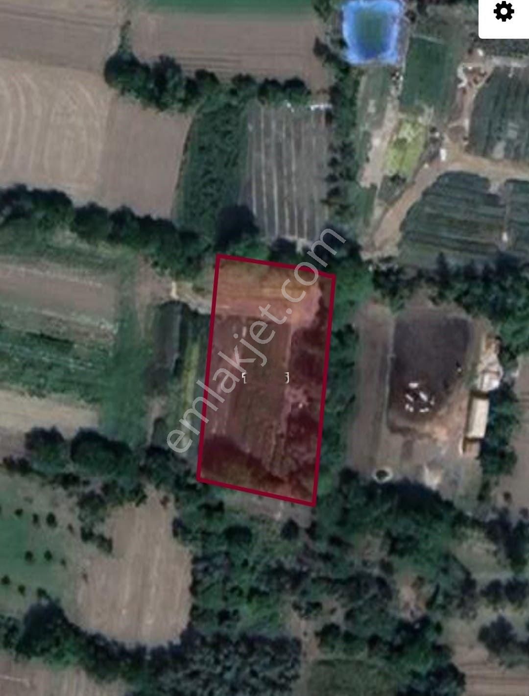 İzmir Bayındır Zeytinova Köyün Merkezinde Acil Satılık 825 M2 Bağ.bahçe - Görsel 4