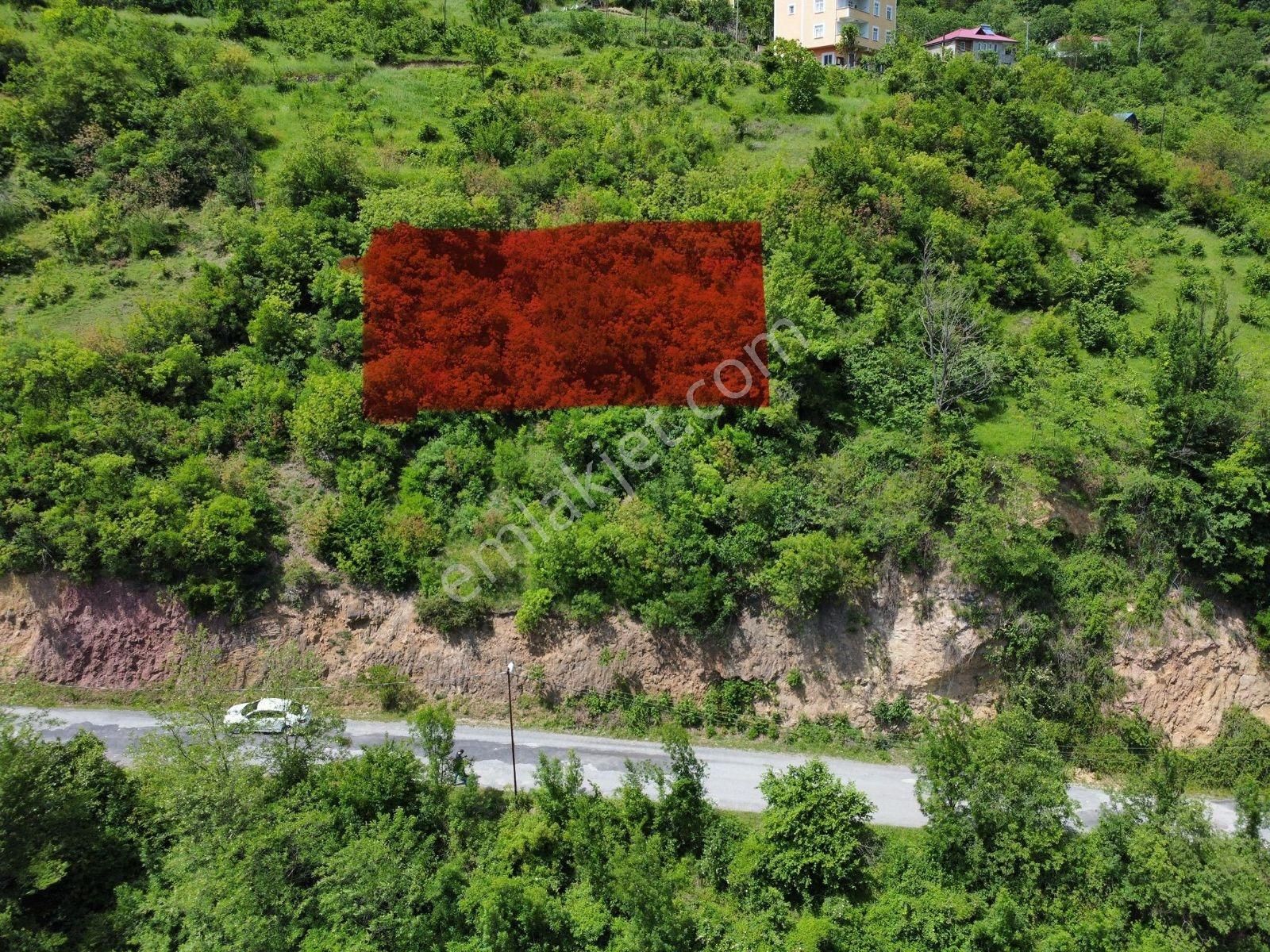 Trabzon Maçka Yol Üzeri Fırsat Arsa - Görsel 11