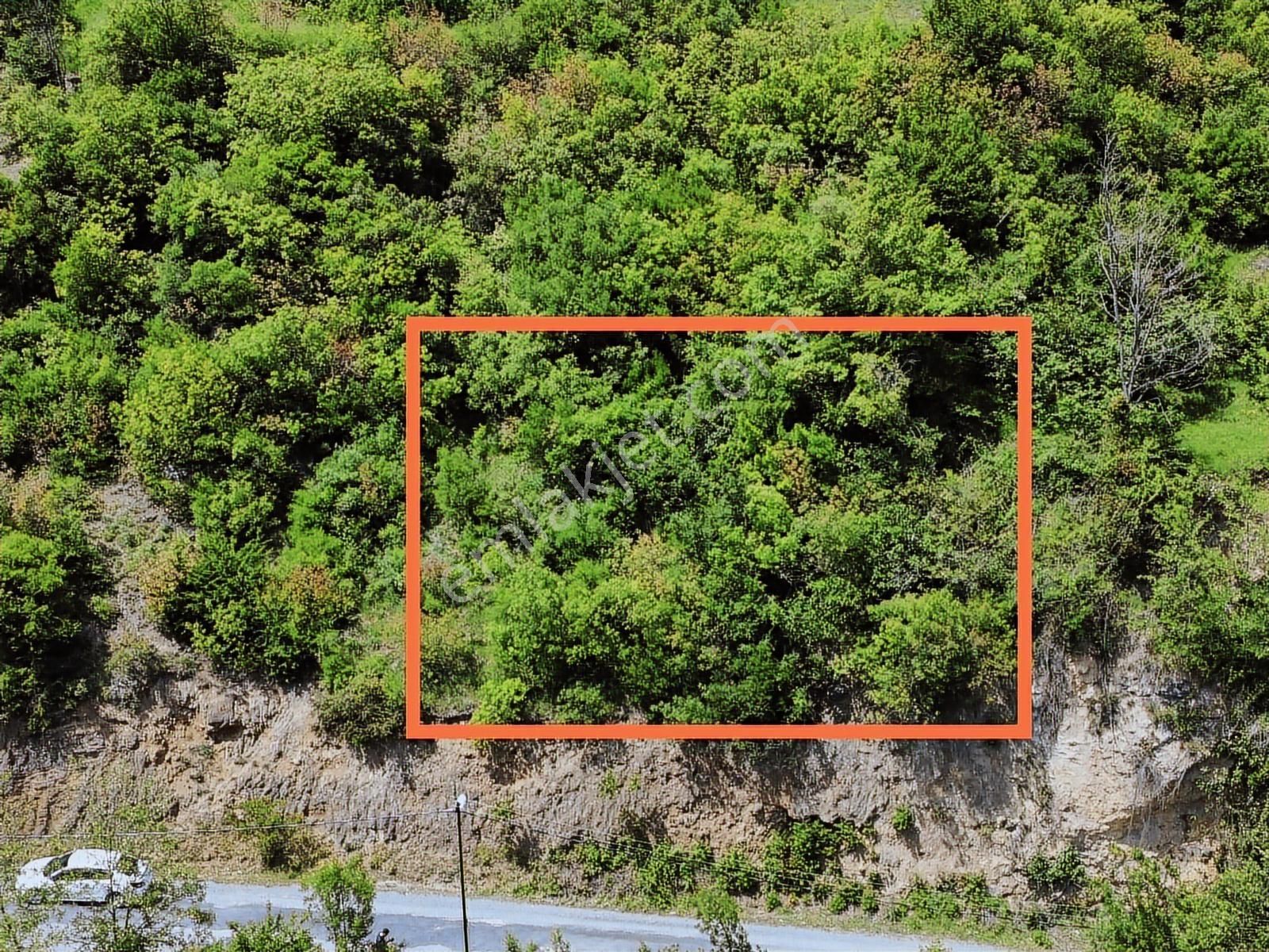 Trabzon Maçka Yol Üzeri Fırsat Arsa - Görsel 3