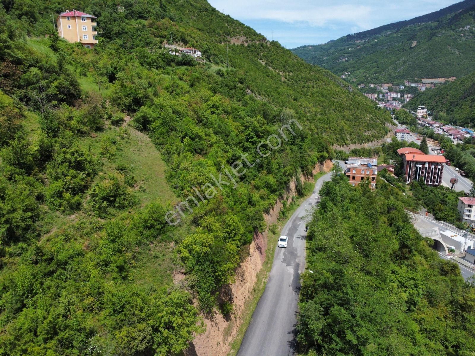 Trabzon Maçka Yol Üzeri Fırsat Arsa - Görsel 7