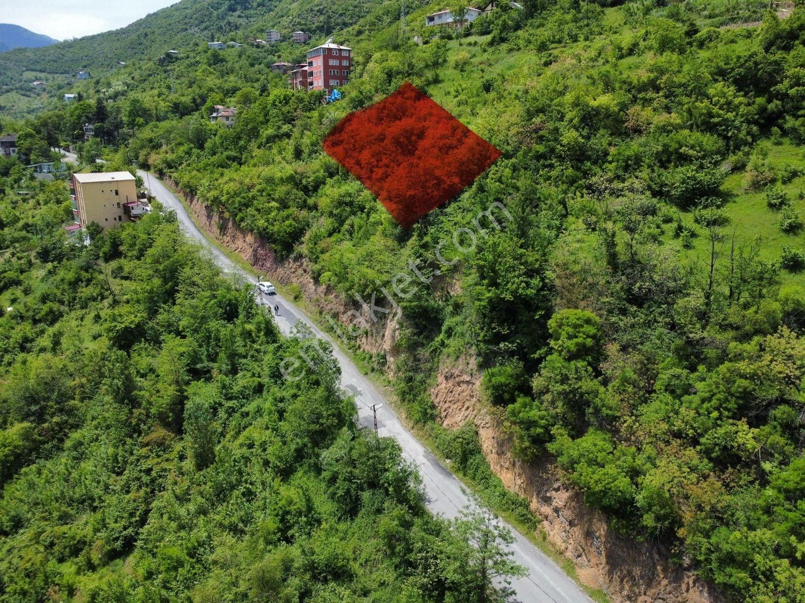 Trabzon Maçka Yol Üzeri Fırsat Arsa - Görsel 6