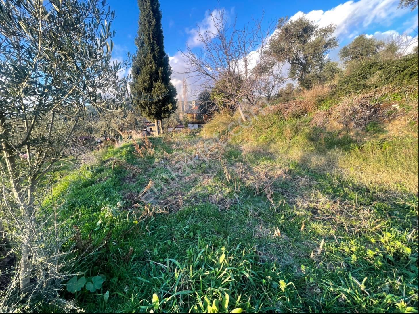 Köy İçi İmarlı Arsa - Görsel 3