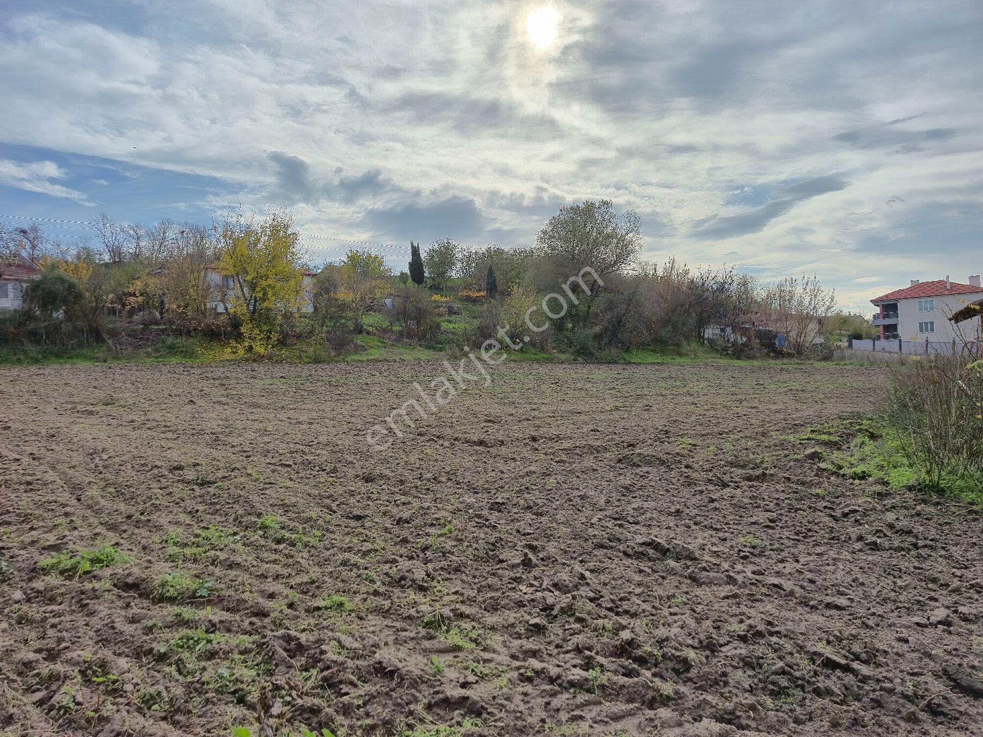 Edirne Merkez Sazlıdere Köyü Satılık Arsa - Görsel 2