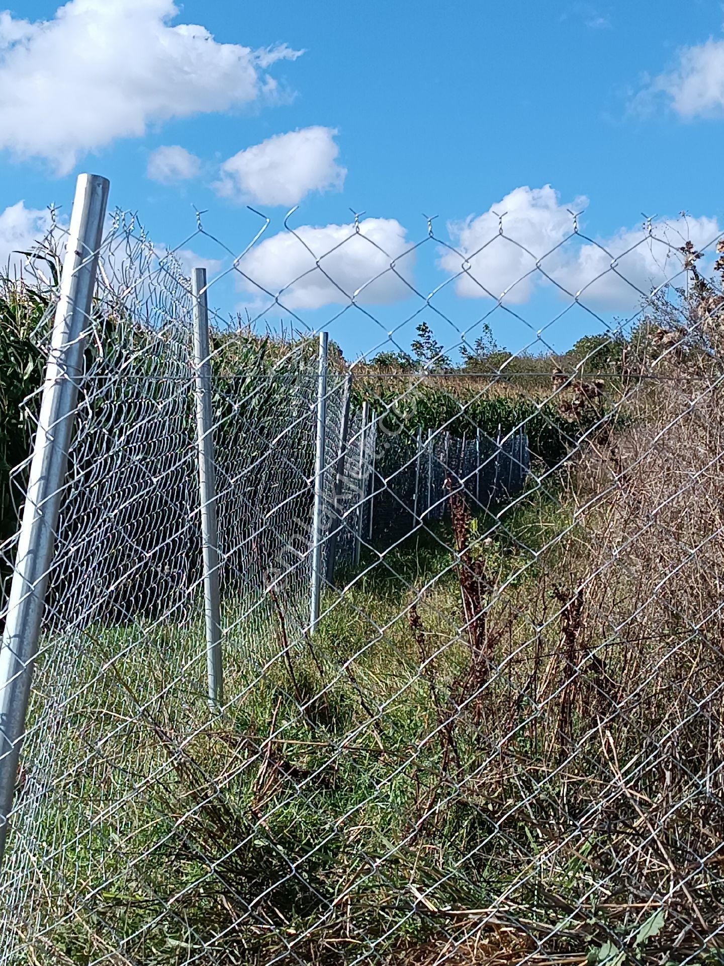 Kandıra Süllü K - Görsel 25