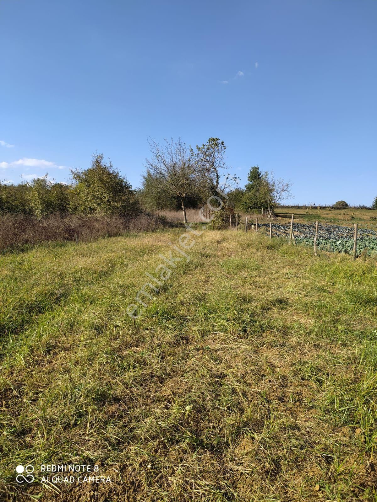 Kandıra Süllü K - Görsel 16