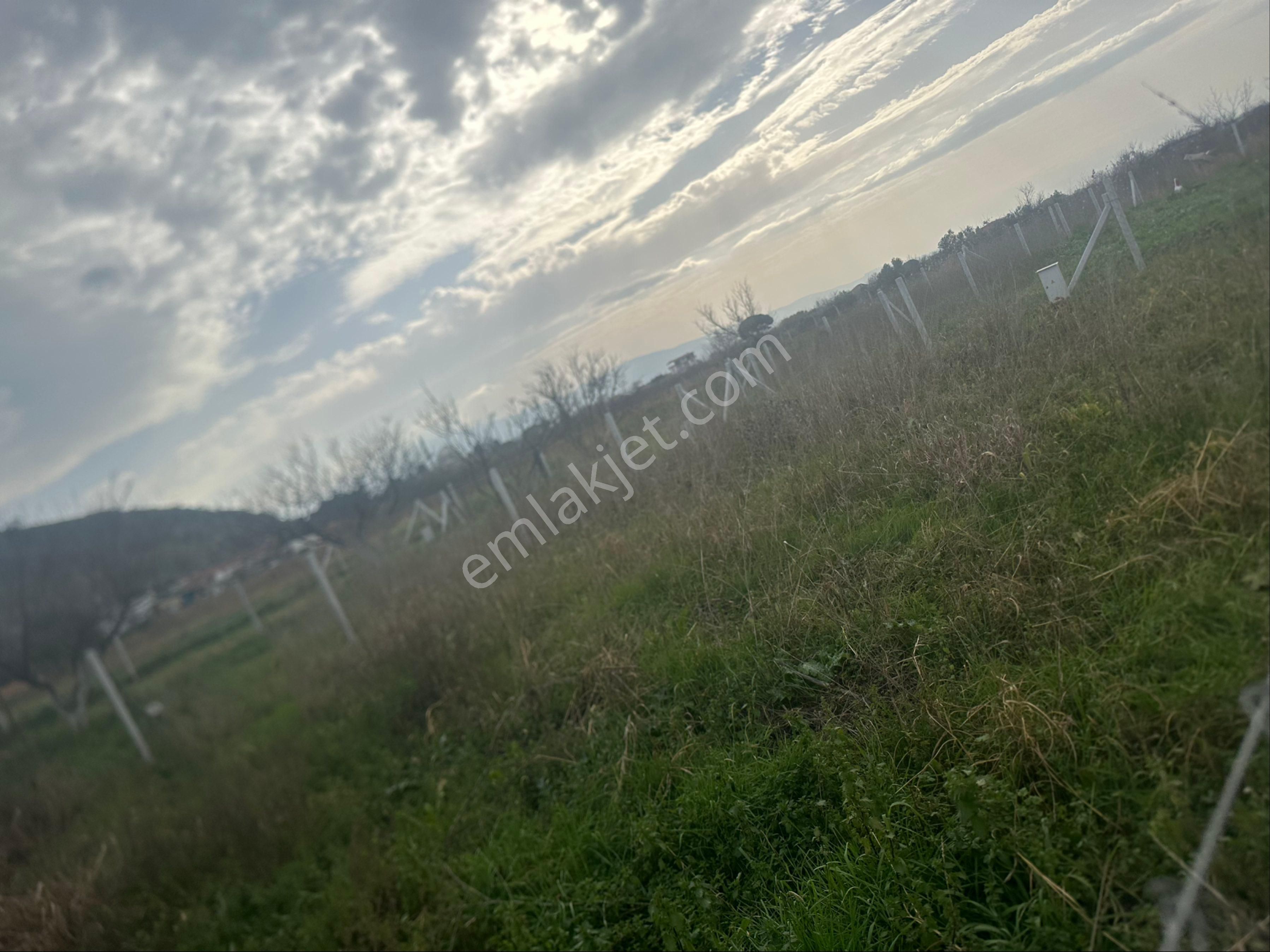 Menemen Türkelli Novada Karşısı - Görsel 5