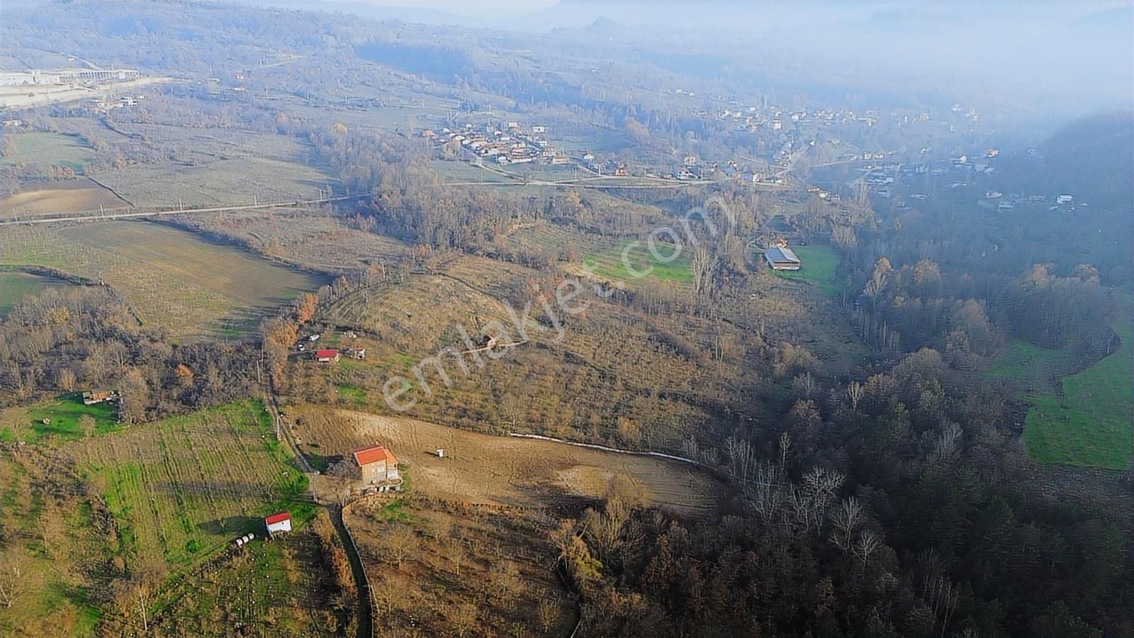 Fırsat Fındık Bahçesi Ev+elektrik+su+yol 11.250m2 Hacıkara'da - Görsel 7