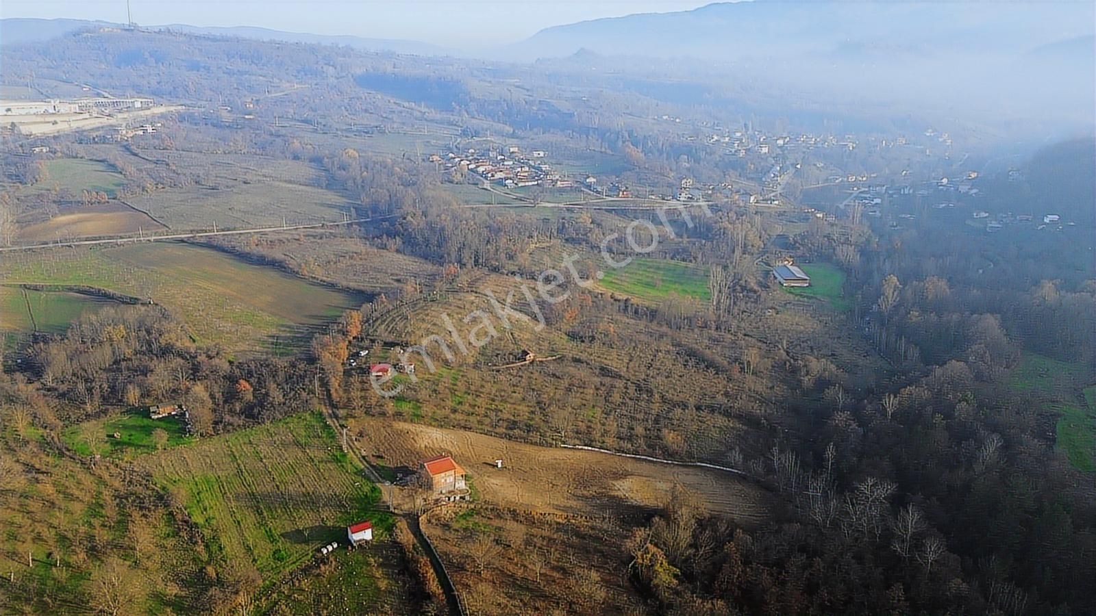 Fırsat Fındık Bahçesi Ev+elektrik+su+yol 11.250m2 Hacıkara'da - Görsel 8