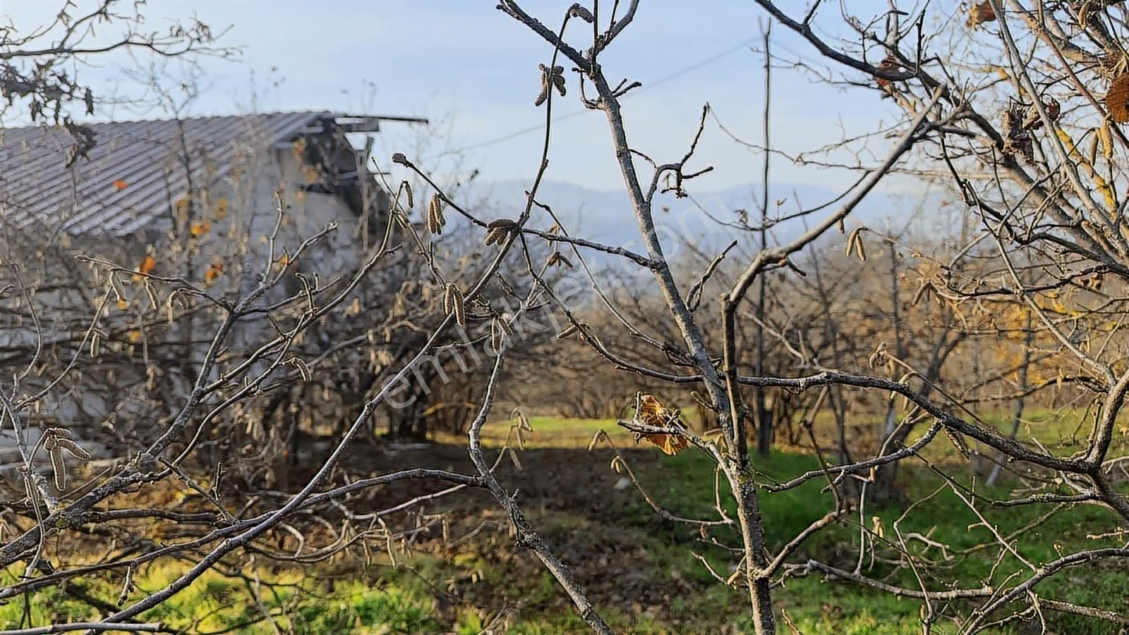 Fırsat Fındık Bahçesi Ev+elektrik+su+yol 11.250m2 Hacıkara'da - Görsel 26