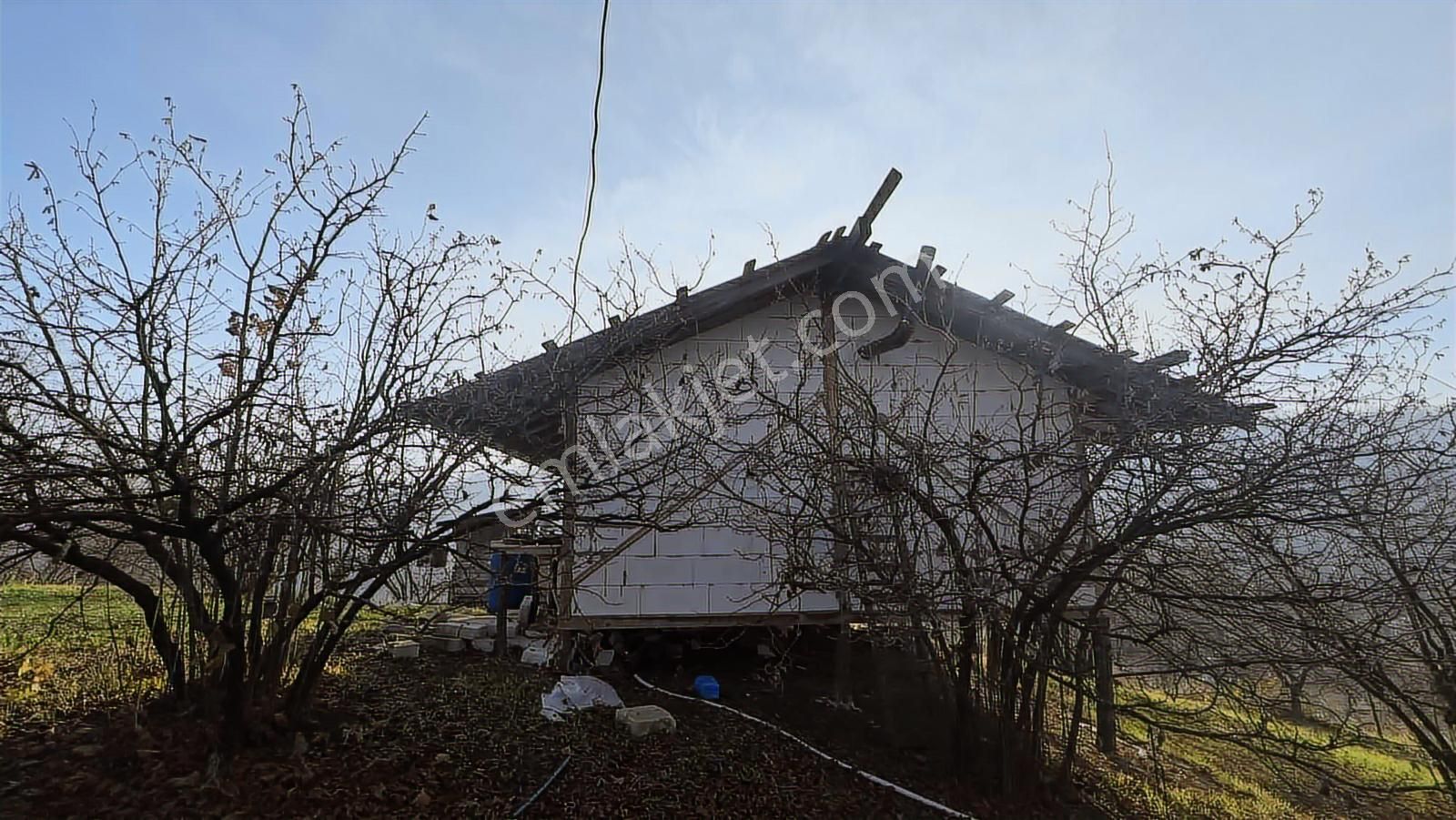 Fırsat Fındık Bahçesi Ev+elektrik+su+yol 11.250m2 Hacıkara'da - Görsel 2