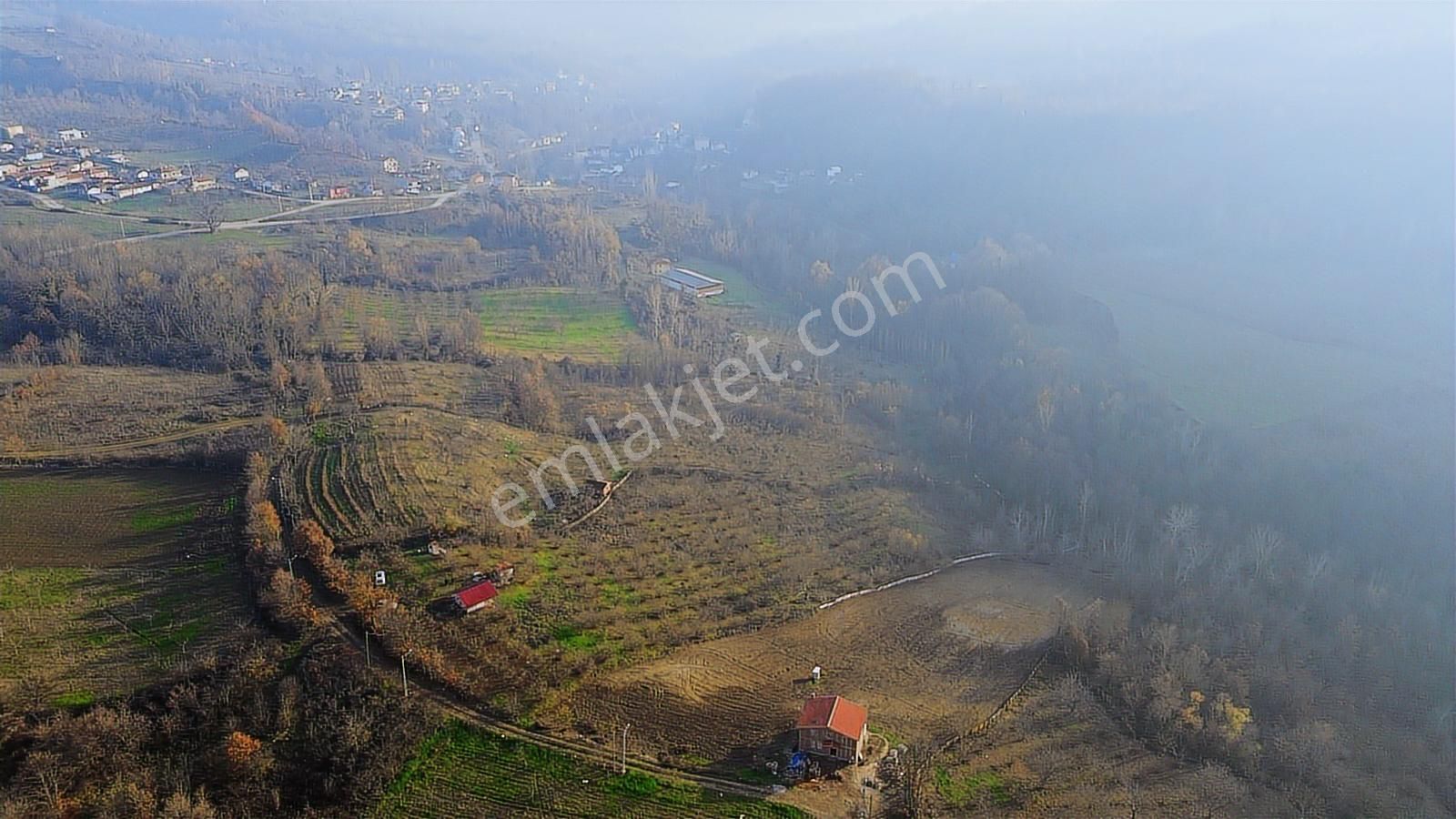 Fırsat Fındık Bahçesi Ev+elektrik+su+yol 11.250m2 Hacıkara'da - Görsel 9