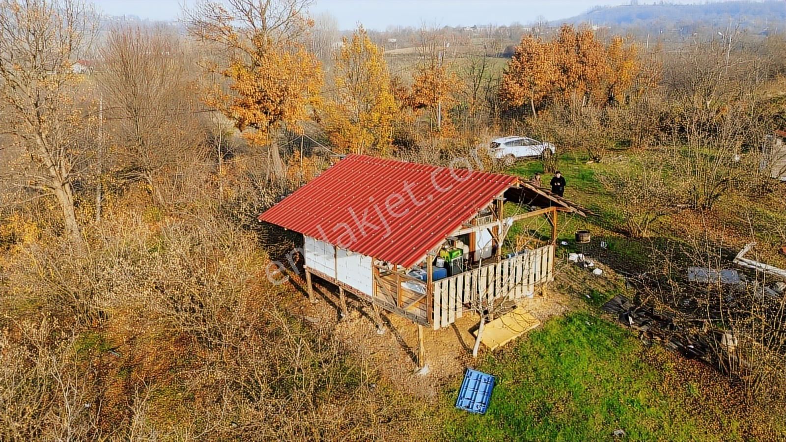 Fırsat Fındık Bahçesi Ev+elektrik+su+yol 11.250m2 Hacıkara'da