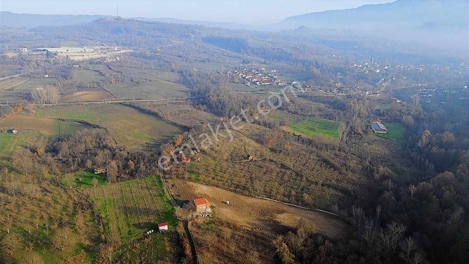 Fırsat Fındık Bahçesi Ev+elektrik+su+yol 11.250m2 Hacıkara'da - Görsel 23