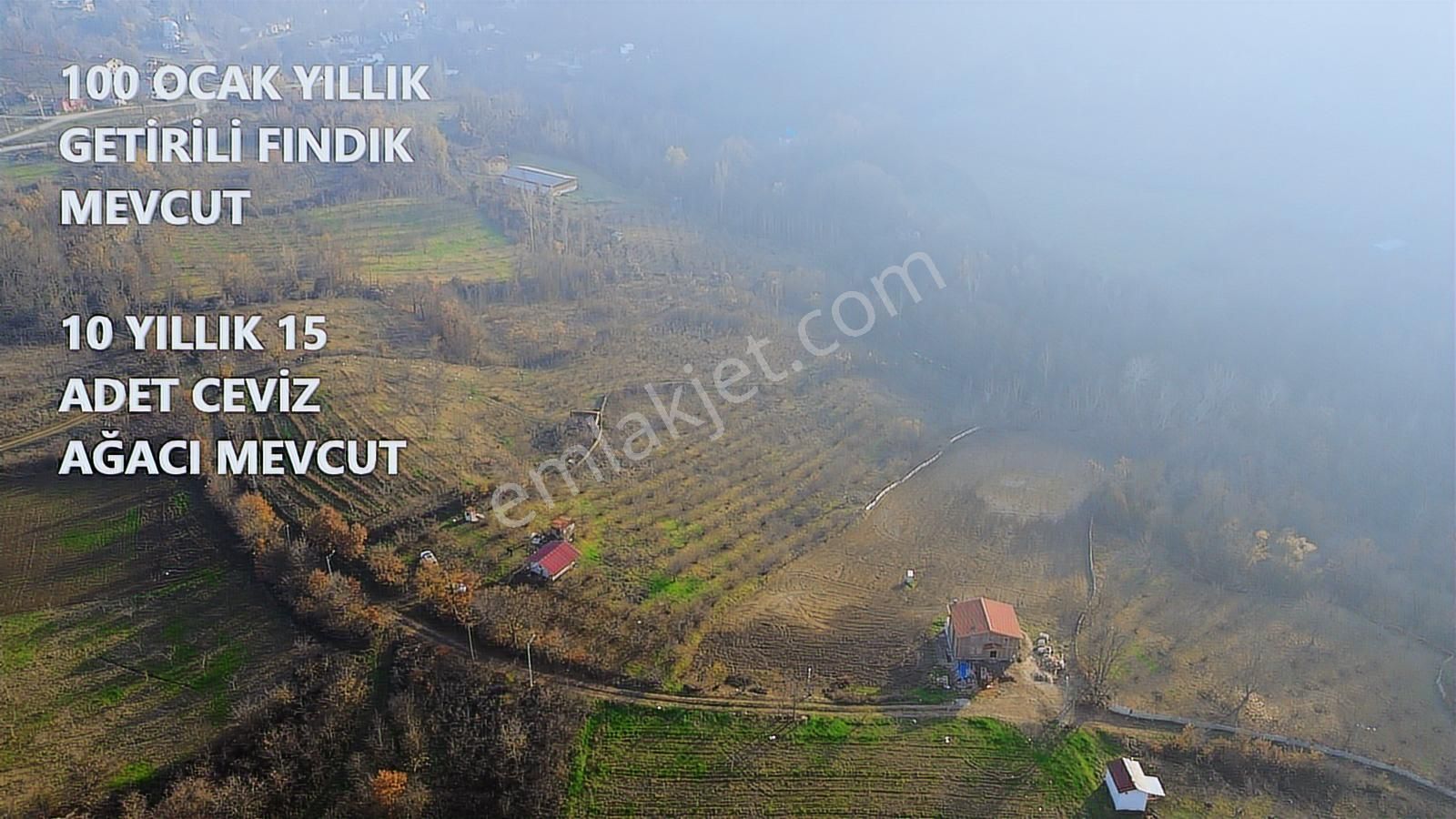 Fırsat Fındık Bahçesi Ev+elektrik+su+yol 11.250m2 Hacıkara'da - Görsel 12