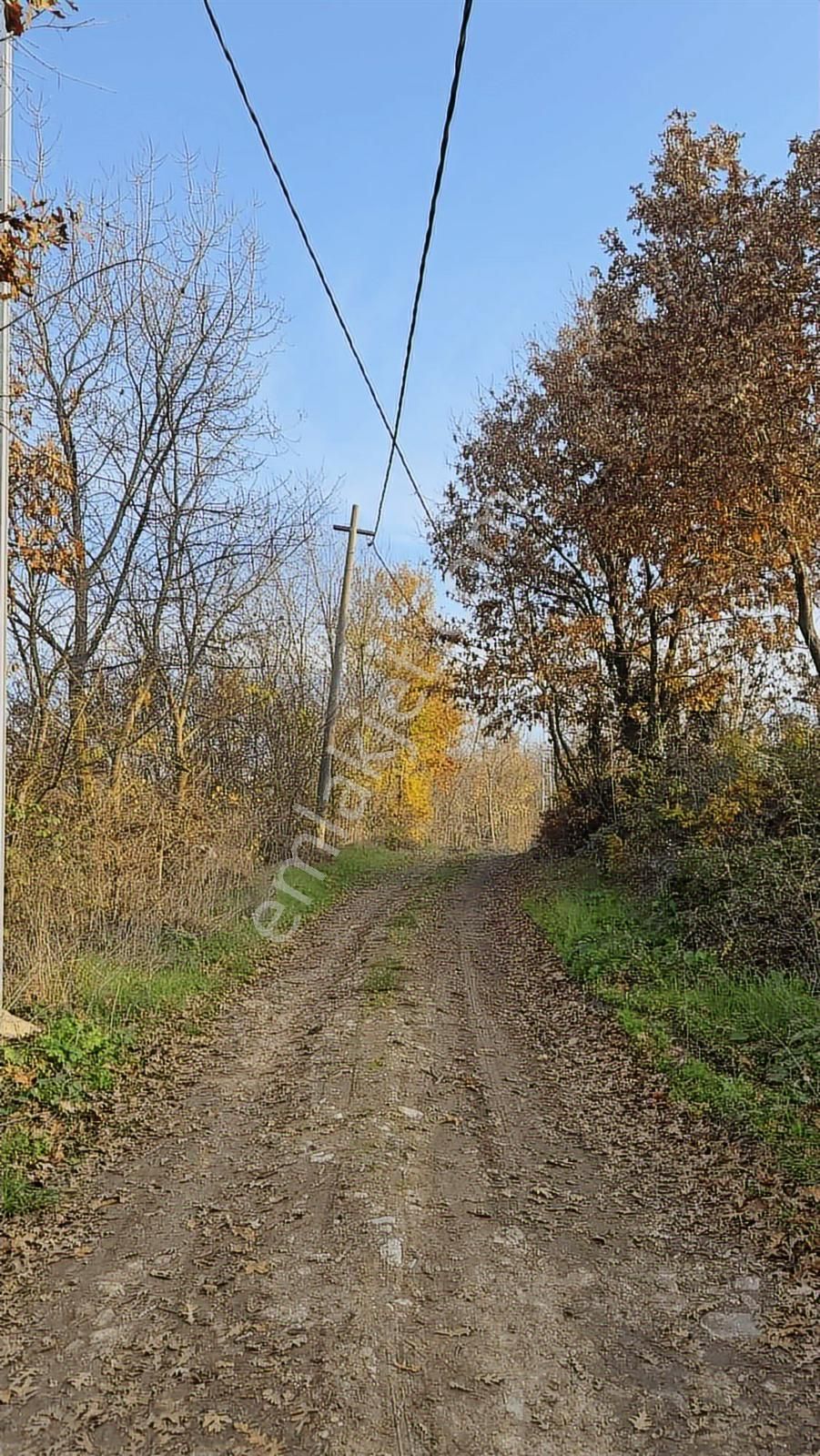 Fırsat Fındık Bahçesi Ev+elektrik+su+yol 11.250m2 Hacıkara'da - Görsel 16