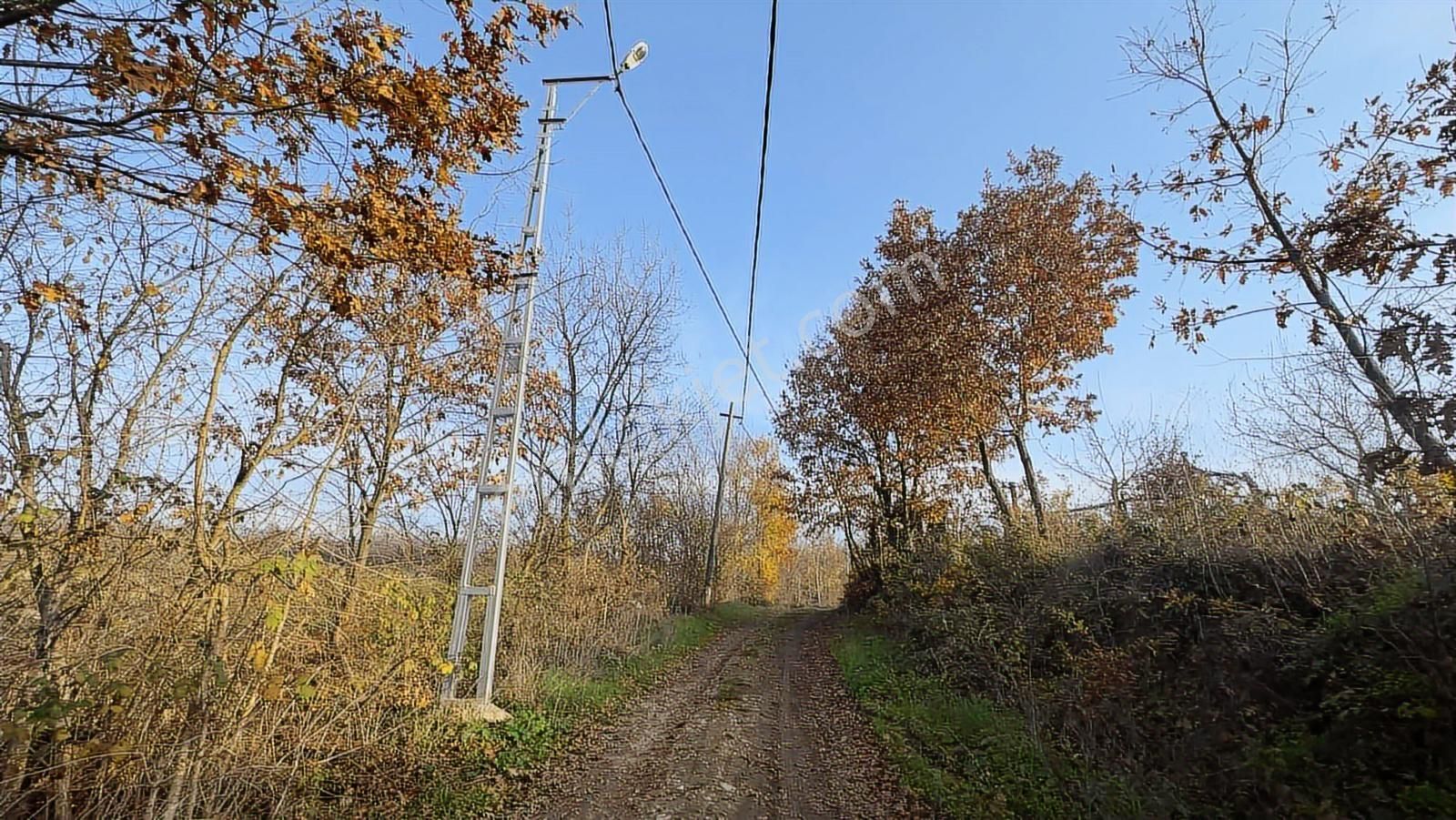 Fırsat Fındık Bahçesi Ev+elektrik+su+yol 11.250m2 Hacıkara'da - Görsel 17