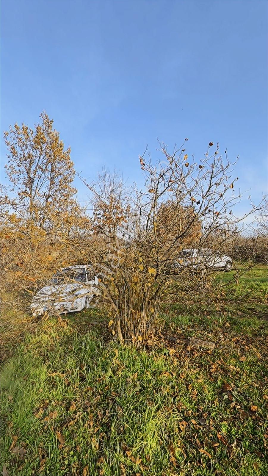 Fırsat Fındık Bahçesi Ev+elektrik+su+yol 11.250m2 Hacıkara'da - Görsel 19