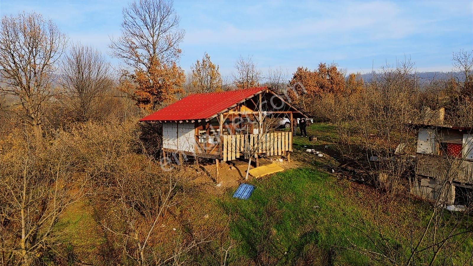 Fırsat Fındık Bahçesi Ev+elektrik+su+yol 11.250m2 Hacıkara'da - Görsel 18