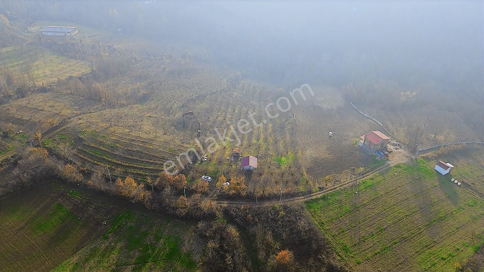 Fırsat Fındık Bahçesi Ev+elektrik+su+yol 11.250m2 Hacıkara'da - Görsel 24