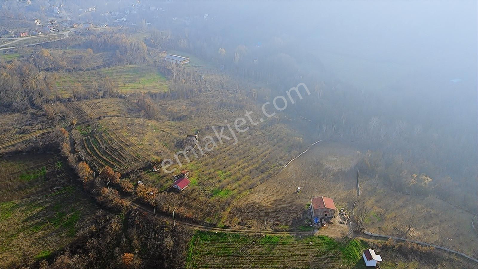 Fırsat Fındık Bahçesi Ev+elektrik+su+yol 11.250m2 Hacıkara'da - Görsel 14