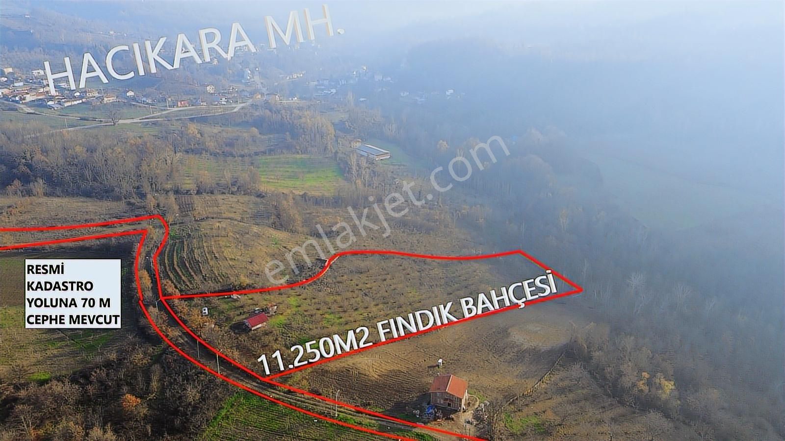Fırsat Fındık Bahçesi Ev+elektrik+su+yol 11.250m2 Hacıkara'da - Görsel 11