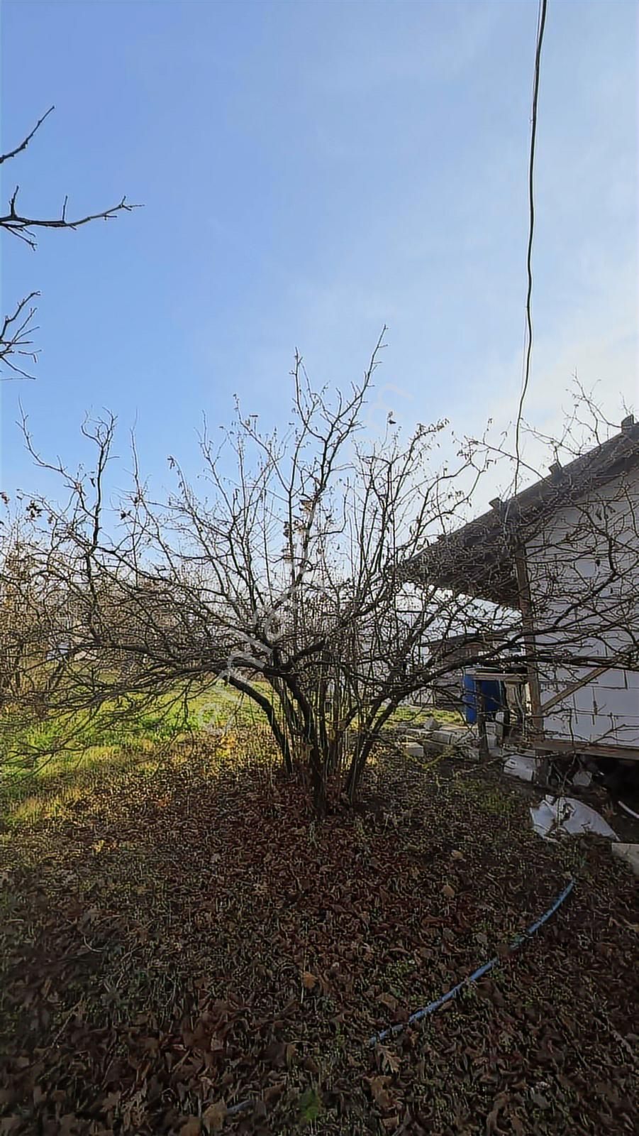 Fırsat Fındık Bahçesi Ev+elektrik+su+yol 11.250m2 Hacıkara'da - Görsel 31