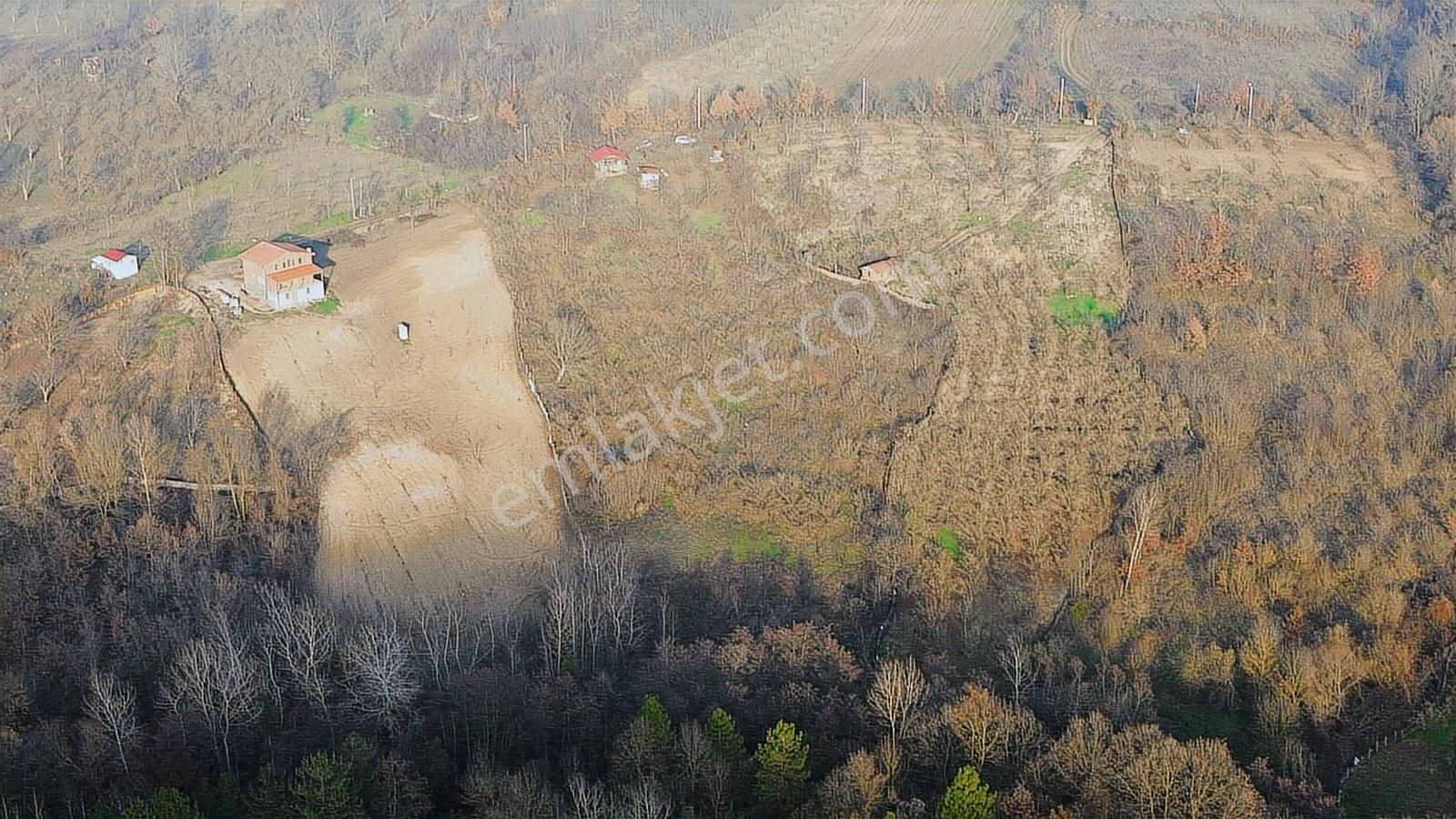 Fırsat Fındık Bahçesi Ev+elektrik+su+yol 11.250m2 Hacıkara'da - Görsel 13