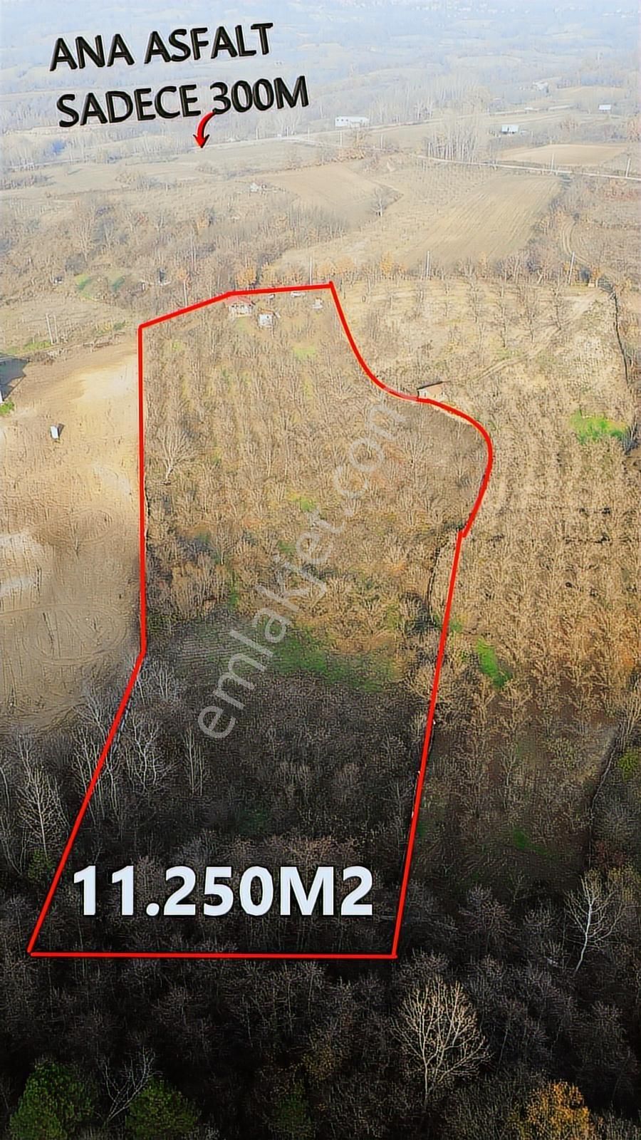 Fırsat Fındık Bahçesi Ev+elektrik+su+yol 11.250m2 Hacıkara'da - Görsel 4