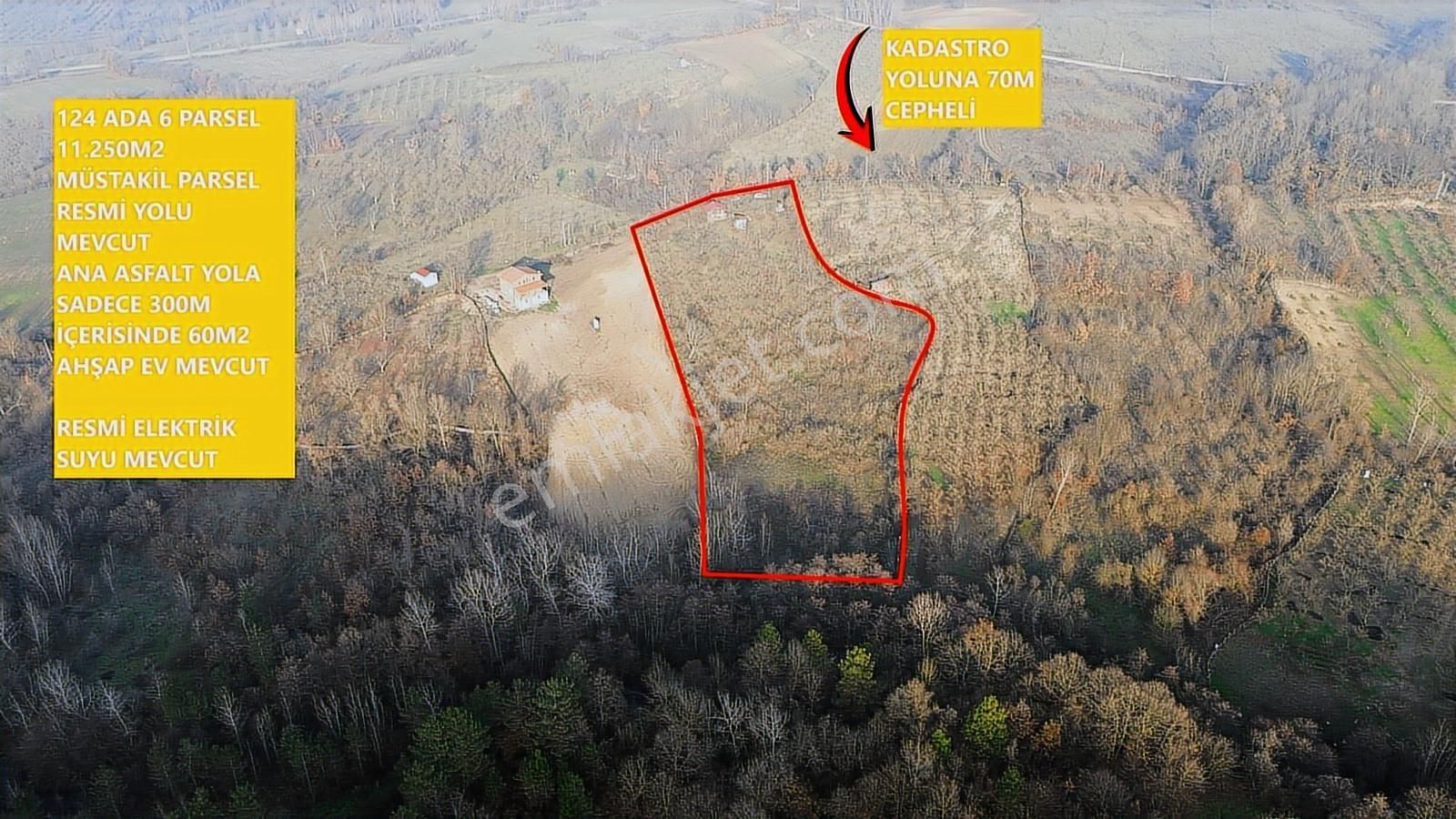 Fırsat Fındık Bahçesi Ev+elektrik+su+yol 11.250m2 Hacıkara'da - Görsel 34