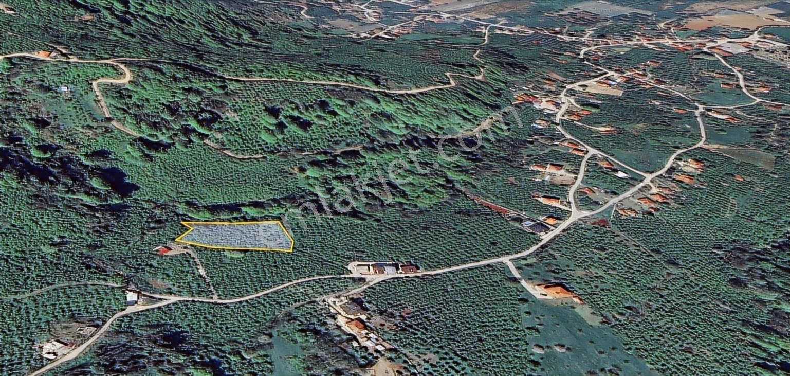 Villaların Dibinde İmar Sınırında Yol Mevcut 4 Dönüm Bahçe
