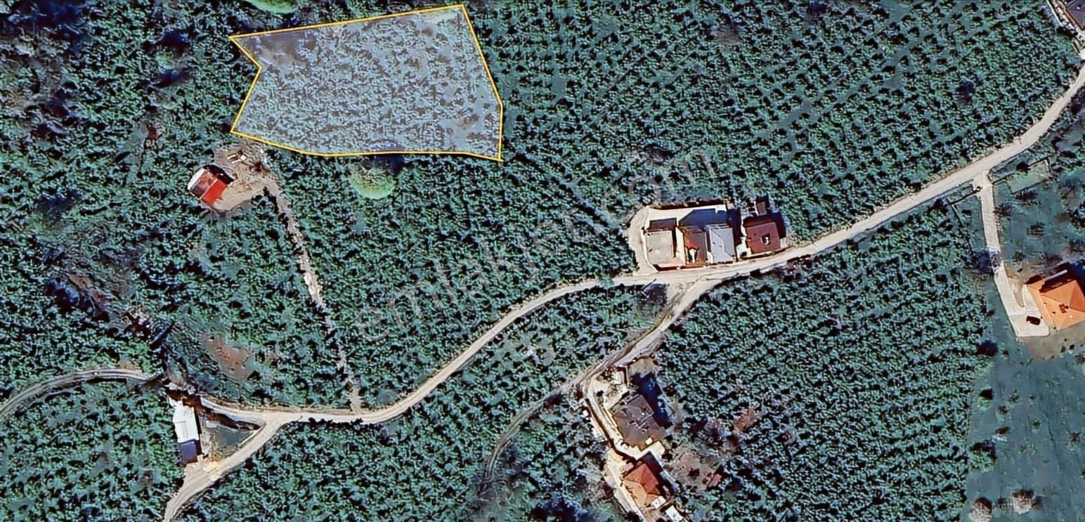 Villaların Dibinde İmar Sınırında Yol Mevcut 4 Dönüm Bahçe - Görsel 18