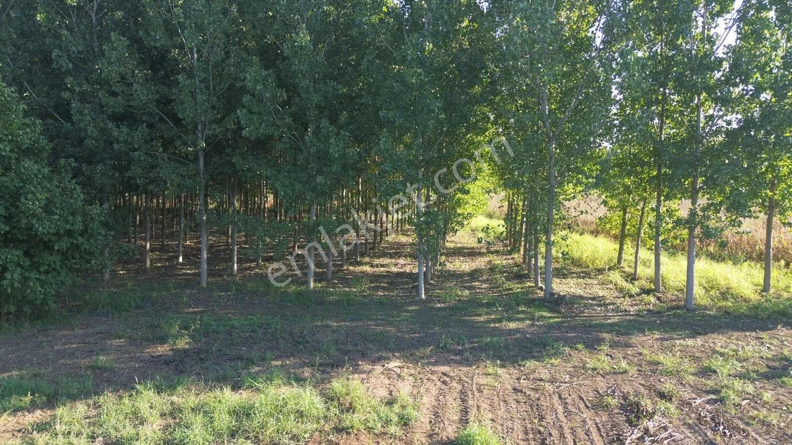 Yön Group'tan Vakıf'ta Satılık 7620m2 Arsa - Görsel 12