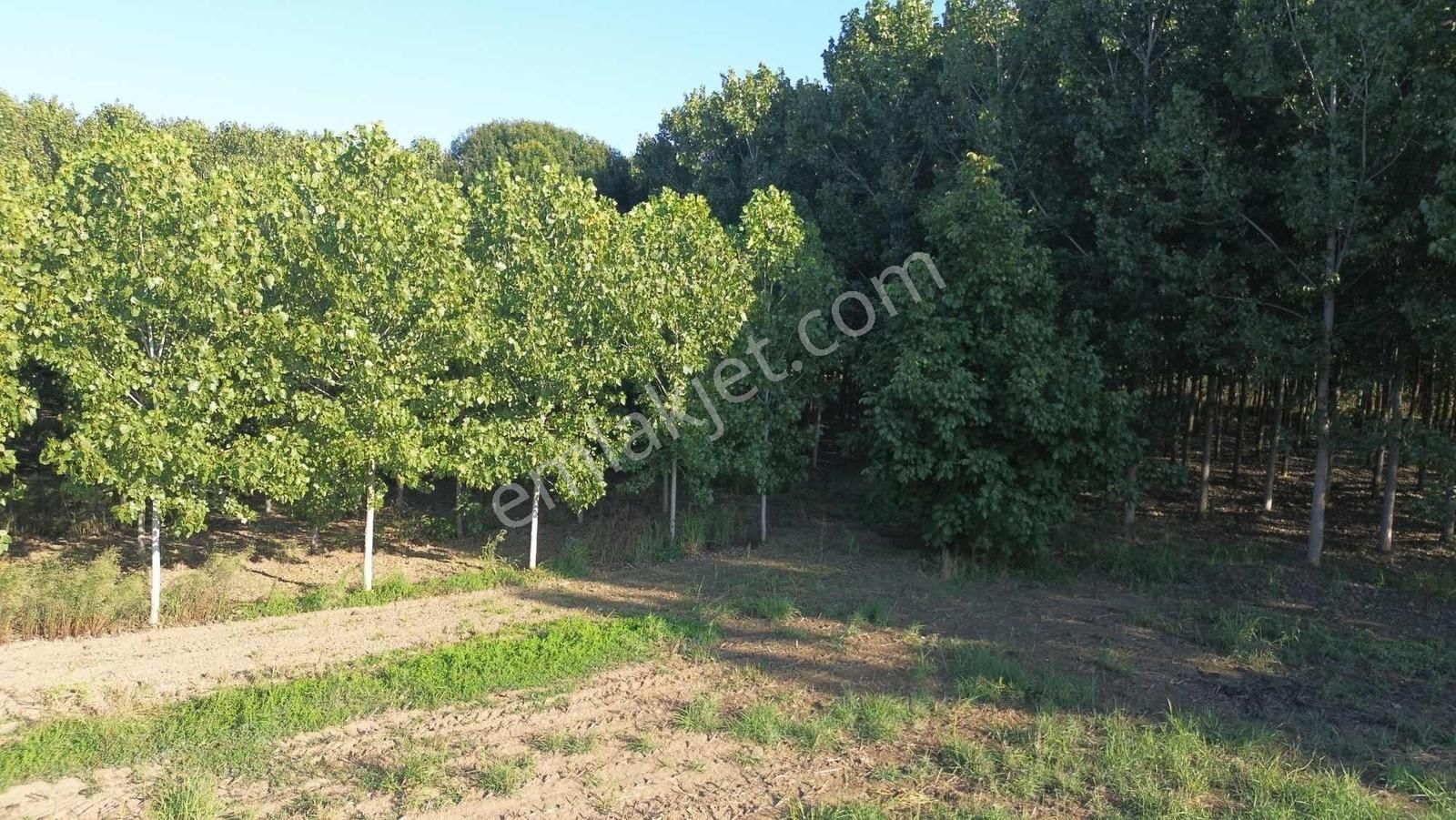 Yön Group'tan Vakıf'ta Satılık 7620m2 Arsa - Görsel 5