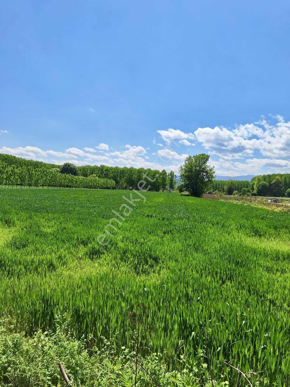 Yön Group'tan Vakıf'ta Satılık 7620m2 Arsa - Görsel 18