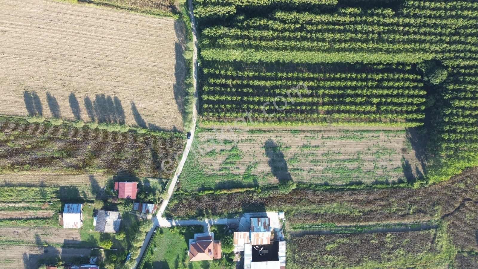 Yön Group'tan Vakıf'ta Satılık 7620m2 Arsa - Görsel 3