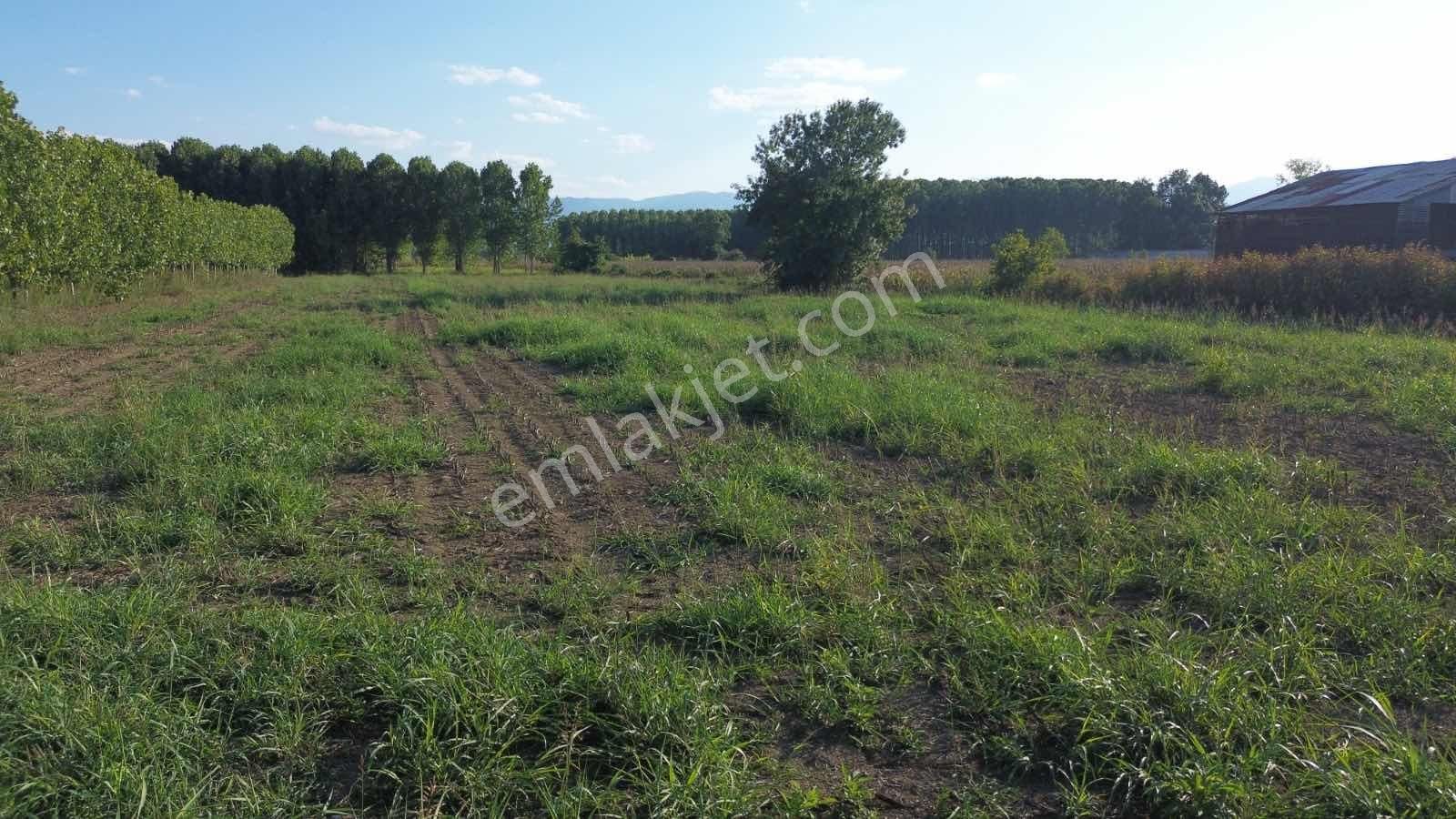 Yön Group'tan Vakıf'ta Satılık 7620m2 Arsa - Görsel 7